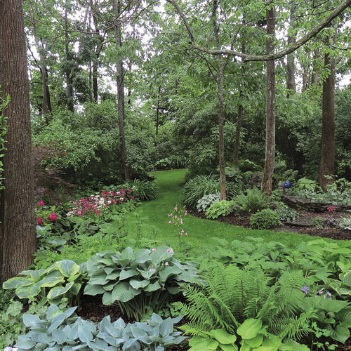 grönskande woodland